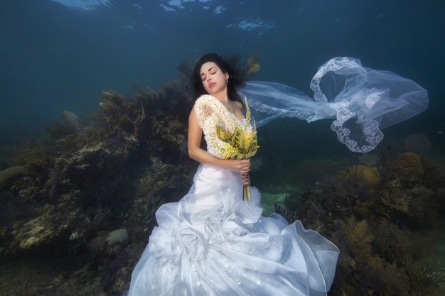 Best wedding photos under water wedding photos wedding photographer california beauitufl wedding dress - 12
