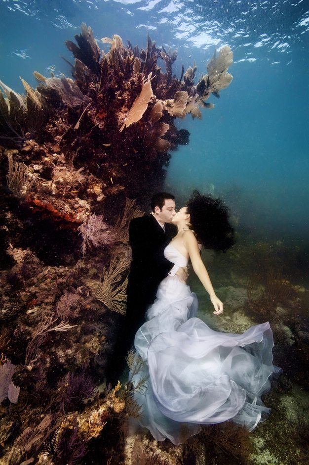 Best wedding photos under water wedding photos wedding photographer california beauitufl wedding dress - 13