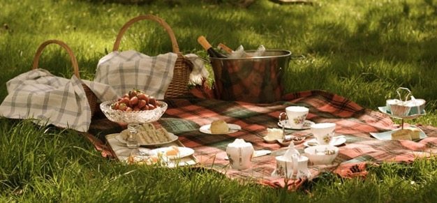 Picnic ideas how to have a picnic organic catering wedding ideas engagment photos cheap date green ideas - 7