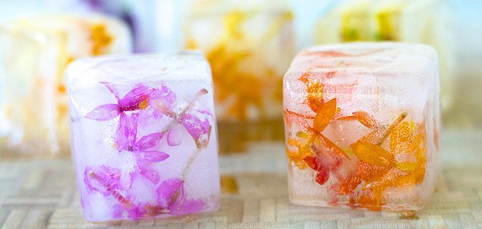 Flower Ice Cubes San Diego & LA Cocktail Trends